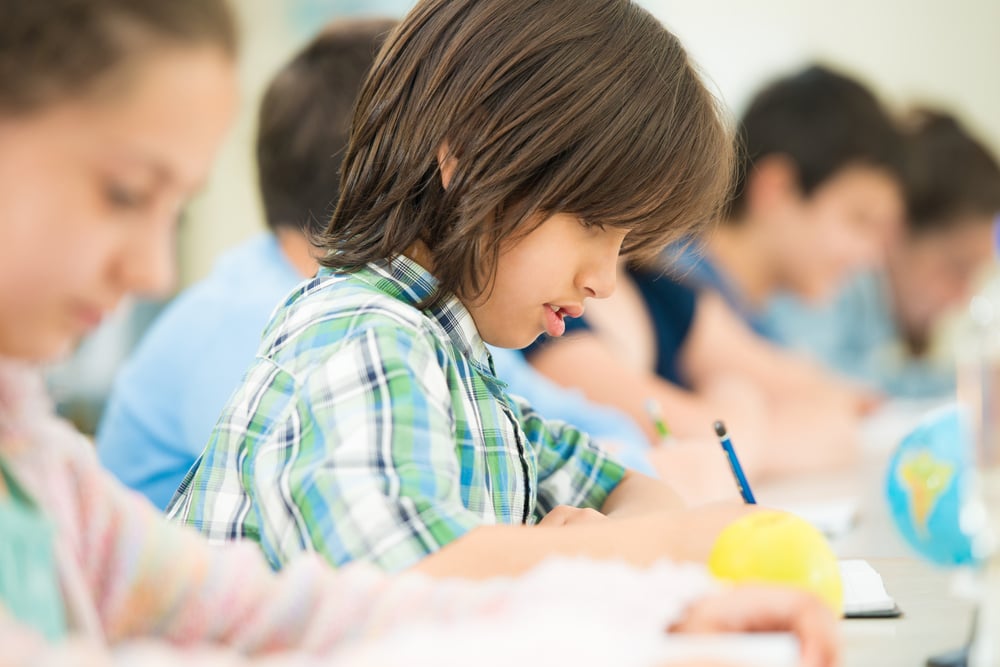 Boys and gilrs learning in school classroom